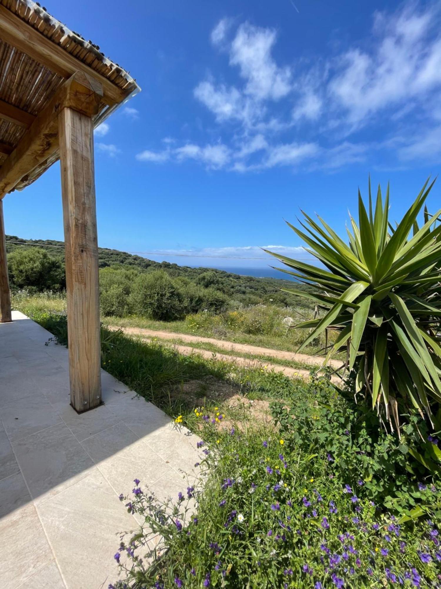 Isola Rossa Appartamenti Paduledda Εξωτερικό φωτογραφία